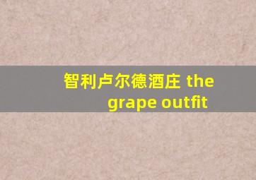 智利卢尔德酒庄 the grape outfit